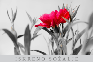 Sožalnica 1